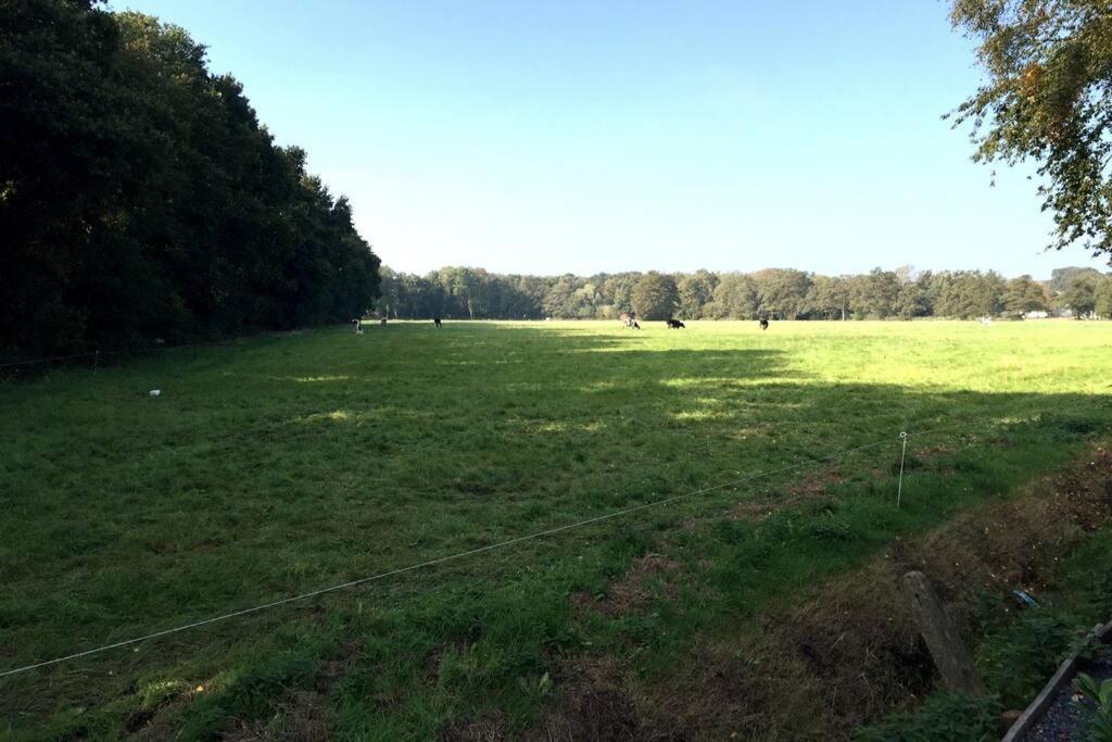 埃尔默洛Natuurhuisje Veluwe Met Houtkachel En Pizzaoven别墅 外观 照片
